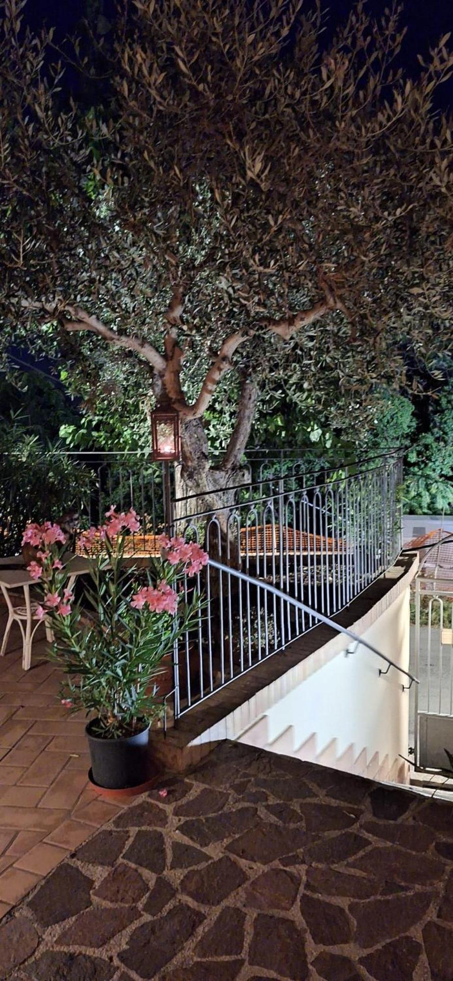 B&B Palazzo Mestichelli Boutique Palace Monteprandone Ngoại thất bức ảnh